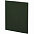Ежедневник Flat Maxi, недатированный, зеленый с логотипом в Самаре заказать по выгодной цене в кибермаркете AvroraStore