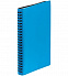 Ежедневник Spring Shall, недатированный, голубой с логотипом в Самаре заказать по выгодной цене в кибермаркете AvroraStore