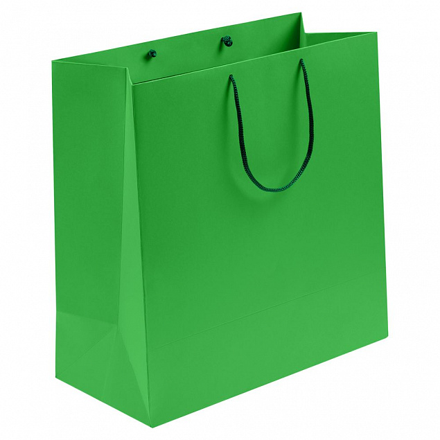 Пакет бумажный Porta, большой, зеленый с логотипом в Самаре заказать по выгодной цене в кибермаркете AvroraStore