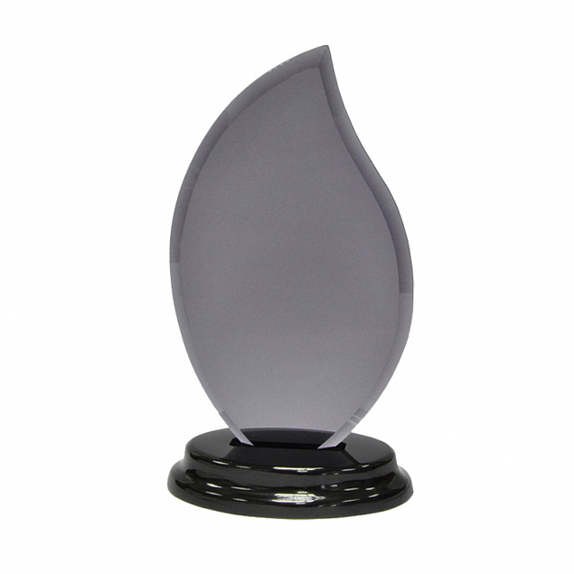Статуэтка наградная "Flame" с логотипом в Самаре заказать по выгодной цене в кибермаркете AvroraStore