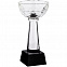 Кубок Cupture, малый с логотипом в Самаре заказать по выгодной цене в кибермаркете AvroraStore