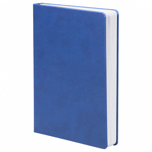 Ежедневник Basis, датированный, светло-синий с логотипом в Самаре заказать по выгодной цене в кибермаркете AvroraStore