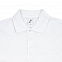 Рубашка поло мужская SPRING 210, белая с логотипом в Самаре заказать по выгодной цене в кибермаркете AvroraStore