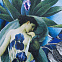 Футболка женская Beauty Sleep, ярко-синяя (royal) с логотипом в Самаре заказать по выгодной цене в кибермаркете AvroraStore