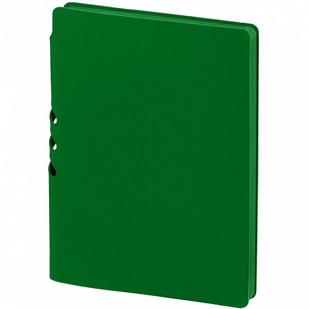 Ежедневник Flexpen Shall, недатированный, зеленый с логотипом в Самаре заказать по выгодной цене в кибермаркете AvroraStore