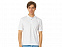 Рубашка поло "Boston 2.0" мужская с логотипом в Самаре заказать по выгодной цене в кибермаркете AvroraStore