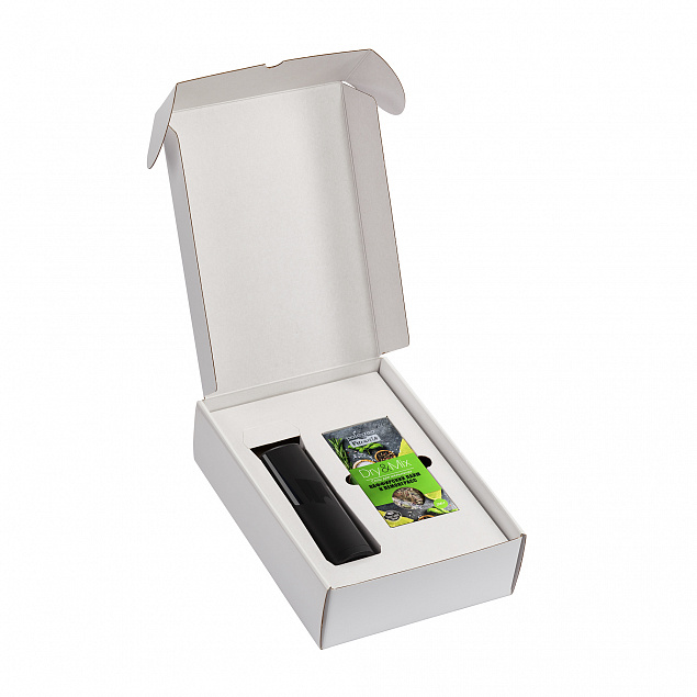 Набор "Модерн box" с логотипом в Самаре заказать по выгодной цене в кибермаркете AvroraStore
