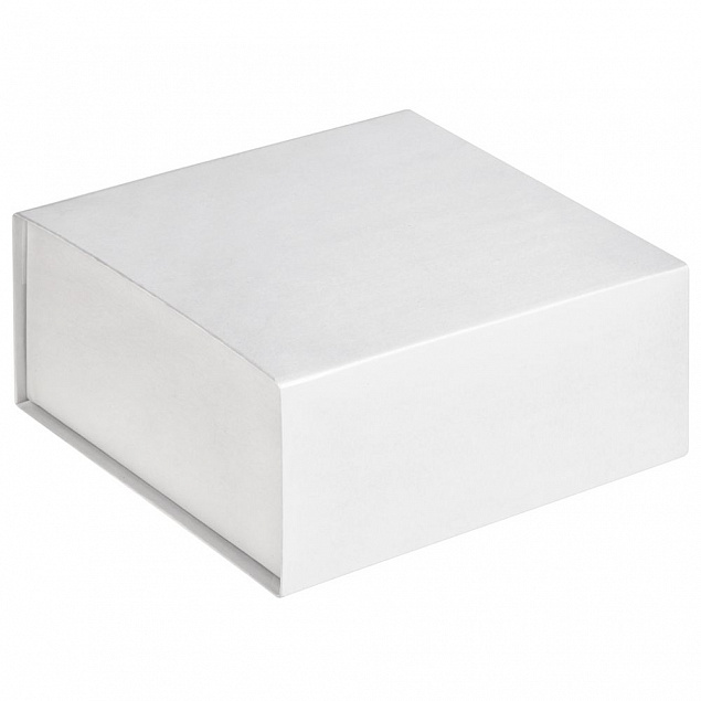Коробка Amaze, белая с логотипом в Самаре заказать по выгодной цене в кибермаркете AvroraStore