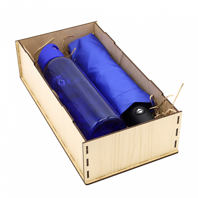 Подарочный набор Rainy, (синий) с логотипом в Самаре заказать по выгодной цене в кибермаркете AvroraStore