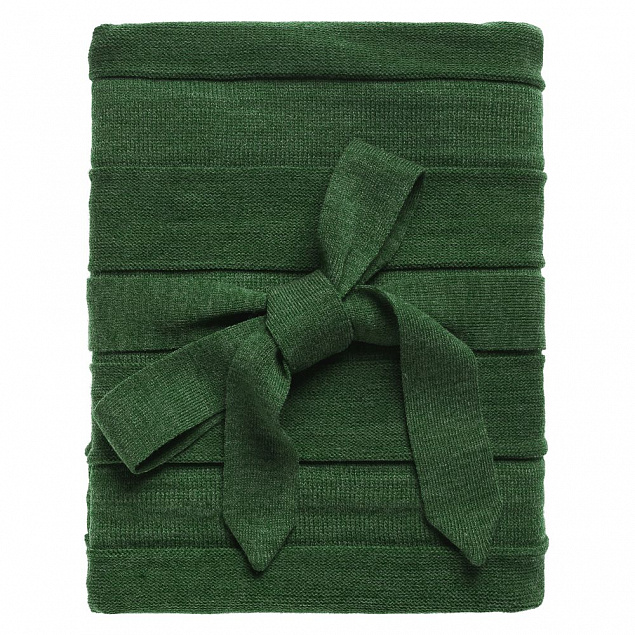 Плед Pleat, зеленый с логотипом в Самаре заказать по выгодной цене в кибермаркете AvroraStore
