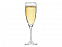 Бокал для шампанского «Flute» с логотипом в Самаре заказать по выгодной цене в кибермаркете AvroraStore