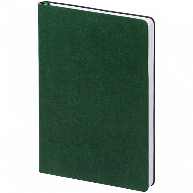 Ежедневник Romano, недатированный, зеленый с логотипом в Самаре заказать по выгодной цене в кибермаркете AvroraStore