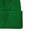 Шапка Franky, зеленая с логотипом в Самаре заказать по выгодной цене в кибермаркете AvroraStore