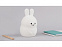 Ночник LED Rabbit с логотипом в Самаре заказать по выгодной цене в кибермаркете AvroraStore