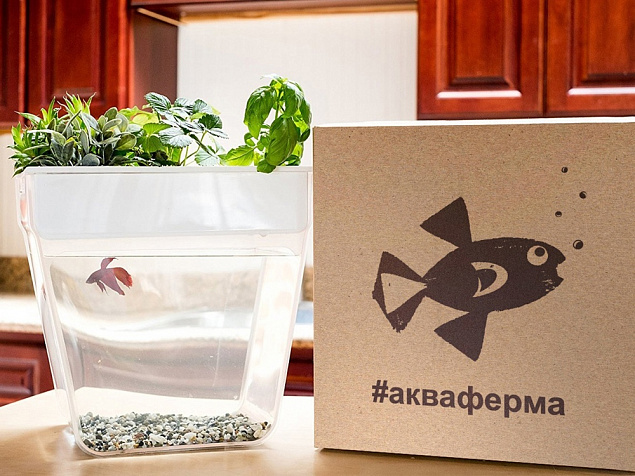 Набор для выращивания растений и ухода за рыбкой Акваферма с логотипом в Самаре заказать по выгодной цене в кибермаркете AvroraStore