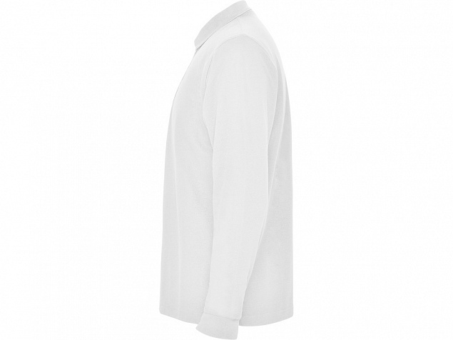 Рубашка поло «Carpe» мужская с длинным рукавом с логотипом в Самаре заказать по выгодной цене в кибермаркете AvroraStore