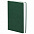 Ежедневник Basis, датированный, зеленый с логотипом в Самаре заказать по выгодной цене в кибермаркете AvroraStore