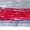 Футболка мужская RAYET двусторонняя, красная с синим с логотипом в Самаре заказать по выгодной цене в кибермаркете AvroraStore