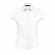 Рубашка женская EXCESS с логотипом в Самаре заказать по выгодной цене в кибермаркете AvroraStore