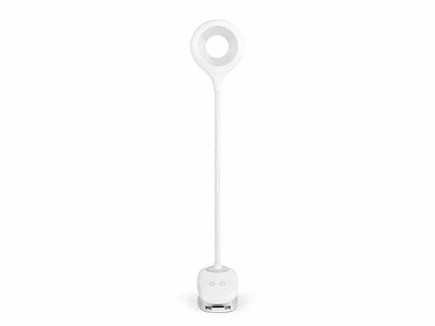 Светильник LED PIN с логотипом в Самаре заказать по выгодной цене в кибермаркете AvroraStore