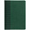 Ежедневник BRAND, недатированный, зеленый с логотипом в Самаре заказать по выгодной цене в кибермаркете AvroraStore