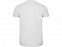 Рубашка поло Star мужская, белый с логотипом в Самаре заказать по выгодной цене в кибермаркете AvroraStore