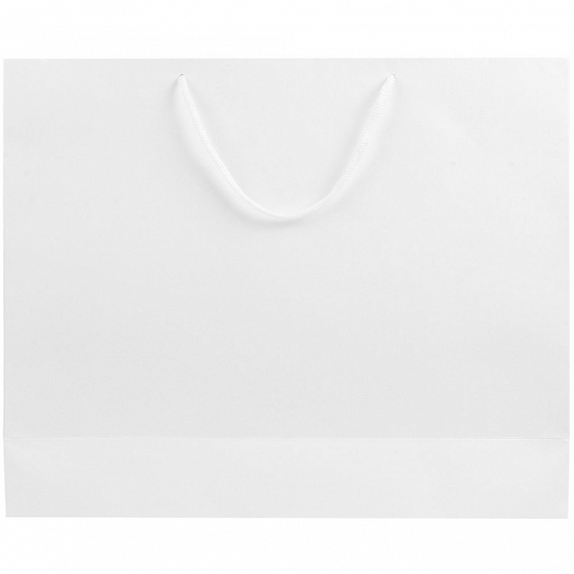Пакет бумажный «Блеск», большой, белый с логотипом в Самаре заказать по выгодной цене в кибермаркете AvroraStore