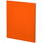 Ежедневник Flat Maxi, недатированный, оранжевый с логотипом в Самаре заказать по выгодной цене в кибермаркете AvroraStore