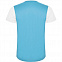 Спортивная футболка DETROIT мужская, БЕЛЫЙ/БИРЮЗОВЫЙ S с логотипом в Самаре заказать по выгодной цене в кибермаркете AvroraStore