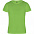 Спортивная футболка CAMIMERA мужская, ПАПАРОТНИКОВЫЙ S с логотипом в Самаре заказать по выгодной цене в кибермаркете AvroraStore
