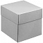 Коробка Anima, серая с логотипом в Самаре заказать по выгодной цене в кибермаркете AvroraStore