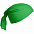 Многофункциональная бандана Dekko, зеленая с логотипом в Самаре заказать по выгодной цене в кибермаркете AvroraStore