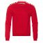 Толстовка StanFancy Красный с логотипом в Самаре заказать по выгодной цене в кибермаркете AvroraStore