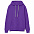 Толстовка с капюшоном Kirenga Heavy, фиолетовая с логотипом в Самаре заказать по выгодной цене в кибермаркете AvroraStore