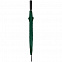 Зонт-трость Dublin, зеленый с логотипом в Самаре заказать по выгодной цене в кибермаркете AvroraStore