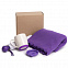 Набор подарочный SPRING WIND: плед, складной зонт, кружка с крышкой, коробка, фиолетовый с логотипом в Самаре заказать по выгодной цене в кибермаркете AvroraStore
