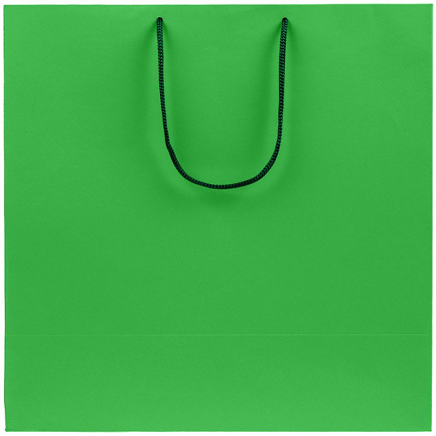 Пакет бумажный Porta, большой, зеленый с логотипом в Самаре заказать по выгодной цене в кибермаркете AvroraStore