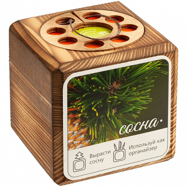 Набор для выращивания с органайзером «Экокуб Burn», сосна с логотипом в Самаре заказать по выгодной цене в кибермаркете AvroraStore