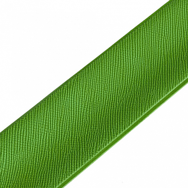 Браслет Wristler, зеленый с логотипом в Самаре заказать по выгодной цене в кибермаркете AvroraStore
