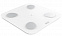 Умные диагностические весы Picooc Mini Lite White (6924917717339), белый с логотипом в Самаре заказать по выгодной цене в кибермаркете AvroraStore