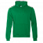 Толстовка Толстовка 20 Зелёный с логотипом в Самаре заказать по выгодной цене в кибермаркете AvroraStore