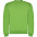 Джемпер CLASICA унисекс, VENTURE GREEN S с логотипом в Самаре заказать по выгодной цене в кибермаркете AvroraStore