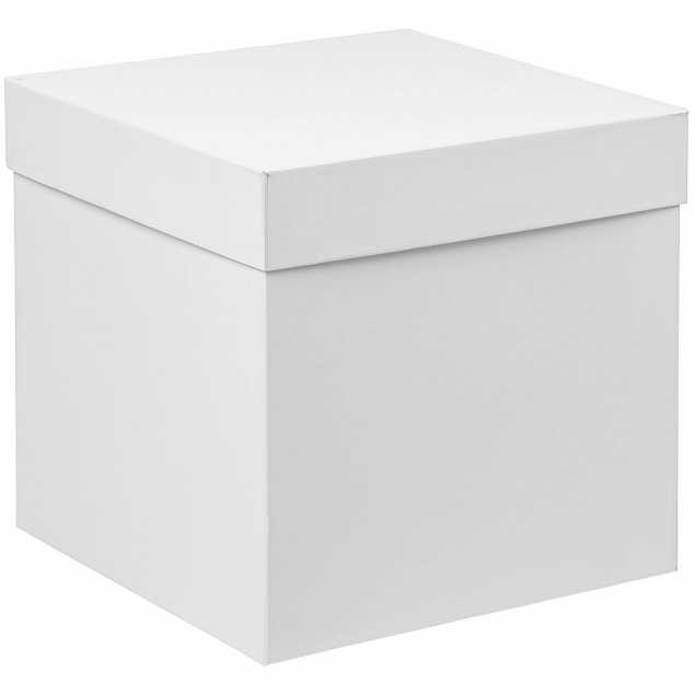 Коробка Cube L, белая с логотипом в Самаре заказать по выгодной цене в кибермаркете AvroraStore
