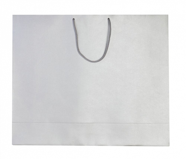 Пакет бумажный «Блеск», большой, серебристый с логотипом в Самаре заказать по выгодной цене в кибермаркете AvroraStore