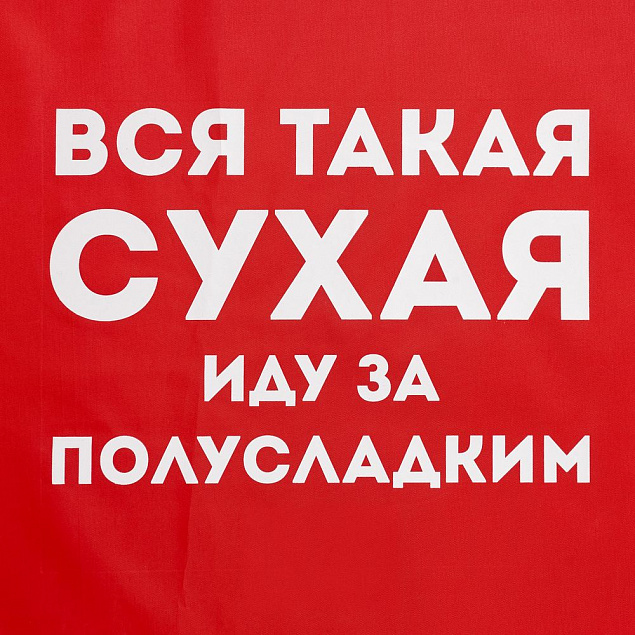 Дождевик «Вся такая сухая», красный с логотипом в Самаре заказать по выгодной цене в кибермаркете AvroraStore