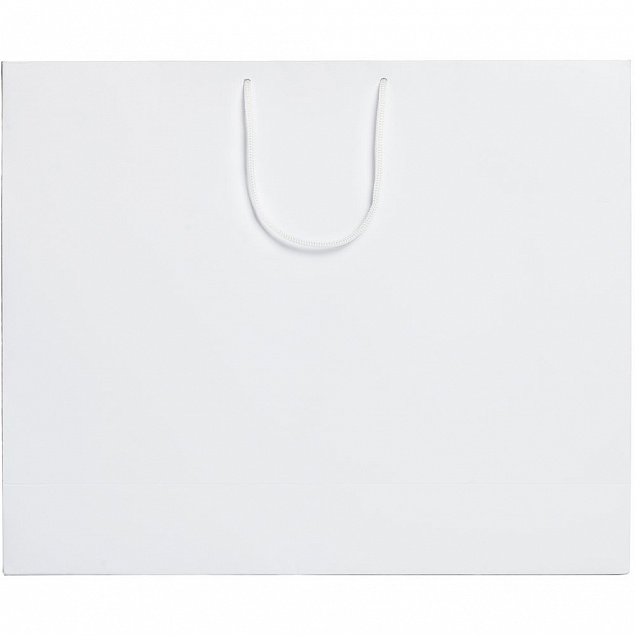 Пакет Ample L, белый с логотипом в Самаре заказать по выгодной цене в кибермаркете AvroraStore