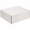 Коробка New Grande, белая с логотипом в Самаре заказать по выгодной цене в кибермаркете AvroraStore