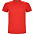Спортивная футболка DETROIT мужская, ПАЛИСАНДР/ЧЕРНЫЙ S с логотипом в Самаре заказать по выгодной цене в кибермаркете AvroraStore