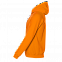 Толстовка мужская 61 Оранжевый с логотипом в Самаре заказать по выгодной цене в кибермаркете AvroraStore