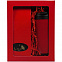 Набор Taiga, красный с логотипом в Самаре заказать по выгодной цене в кибермаркете AvroraStore